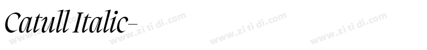 Catull Italic字体转换